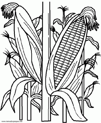 Para Colorear con "gracia y salero"