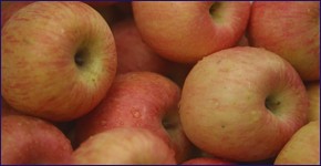 Propiedades y beneficios de las frutas